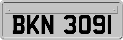 BKN3091