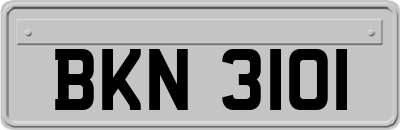 BKN3101