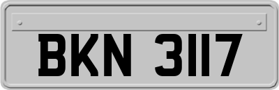 BKN3117