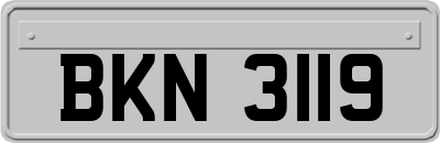BKN3119