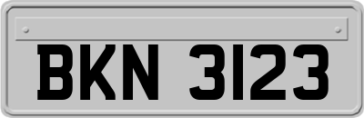 BKN3123