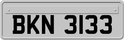 BKN3133