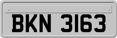 BKN3163