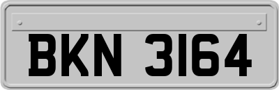 BKN3164