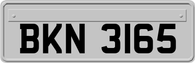 BKN3165