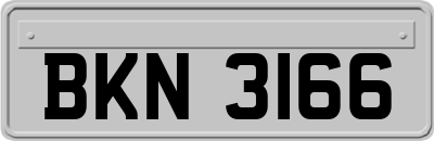 BKN3166