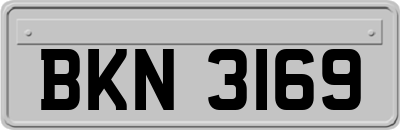 BKN3169