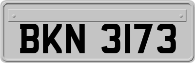 BKN3173
