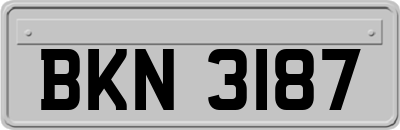 BKN3187