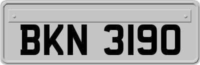 BKN3190