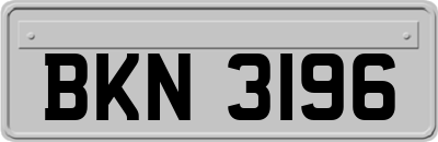 BKN3196