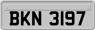 BKN3197