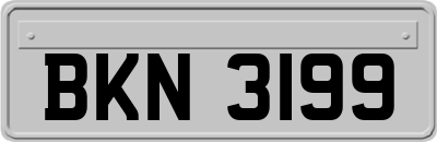 BKN3199