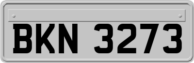 BKN3273