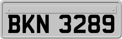 BKN3289
