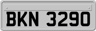 BKN3290