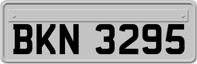 BKN3295