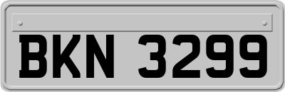 BKN3299