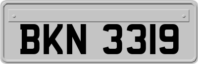 BKN3319