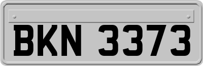 BKN3373