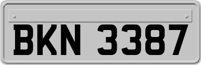 BKN3387
