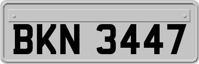 BKN3447