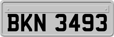 BKN3493