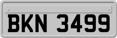 BKN3499