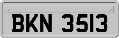 BKN3513