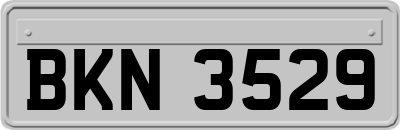 BKN3529