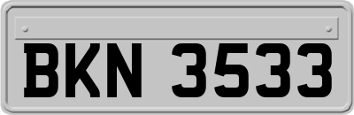 BKN3533