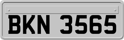 BKN3565
