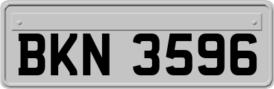 BKN3596