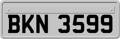 BKN3599