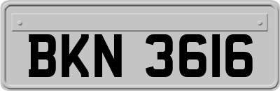 BKN3616