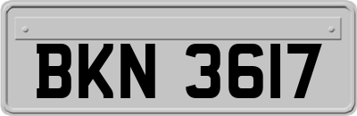 BKN3617