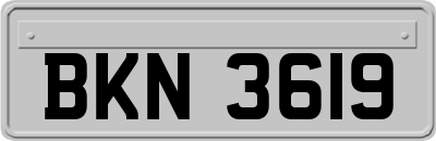 BKN3619