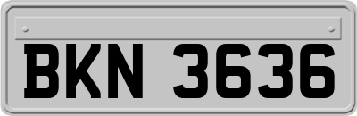 BKN3636