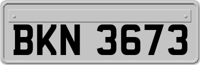 BKN3673