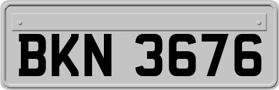 BKN3676