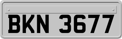 BKN3677