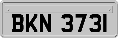 BKN3731