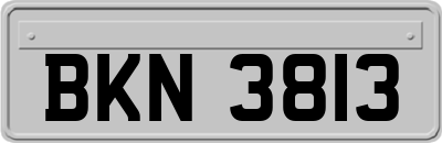 BKN3813