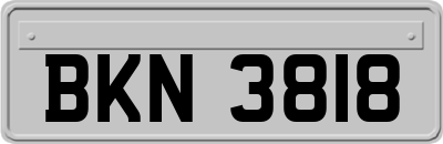 BKN3818