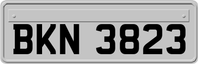 BKN3823