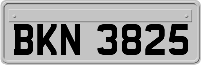 BKN3825