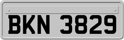 BKN3829