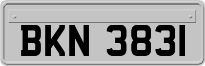 BKN3831