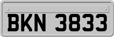 BKN3833