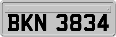 BKN3834
